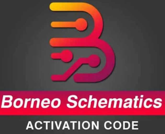 #4444 Borneo Schematics Activation (2 Users / 12 Months)